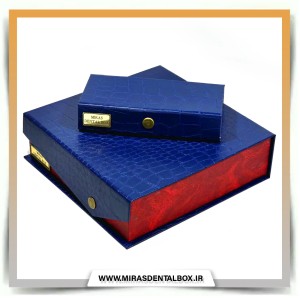 دلتا باکس 20