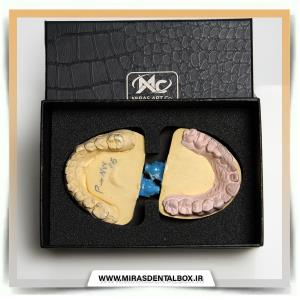 mirasdental.DataModelLayer.Entities.Products